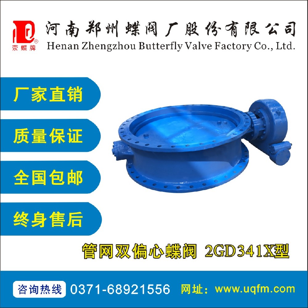 管網(wǎng)雙偏心蝶閥 2GD341X型